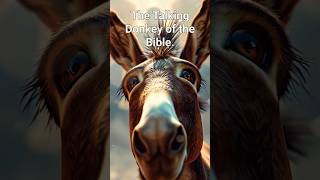 THE BIBLE'S TALKING DONKEY