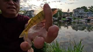 Family Picnic \u0026 Fishing At Idle Isle Park In Muskego #picnic #fishing