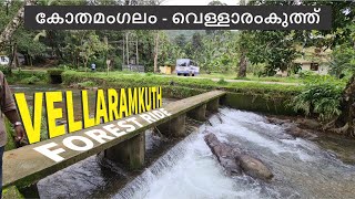 Kothamangalam to Vellaramkuthu Forest Village | Via Thattekadu, Kuttambuzha, Pooyamkutty,