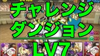 【パズドラ】第8回チャレンジダンジョンLV7【曲芸士】