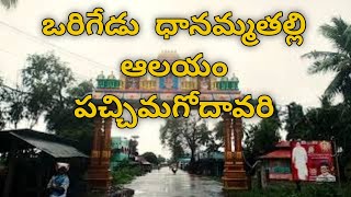 origedu dhanamma talli temple || dhyaneswari alayam westgodavari | dyaneswari temple| telugu famly