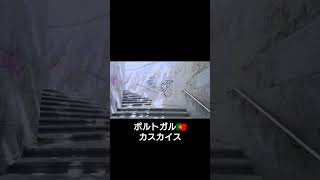 ポルトガルの首都 リスボンにあるカスカイスの港町を散策🐬ポルトガルで青い空と碧い海、そして美味しいシーフードを楽しめる、最高の場所です🐾#ポルトガル #ポルトガル旅行 #portugal