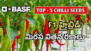 Top-5 హైబ్రిడ్ మిరప విత్తన రకాలు | BASF f1 Hybrid Chilli Seeds | Mana Kisan (మన రైతు)