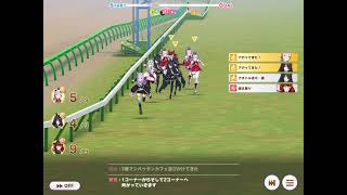 Champion Meeting, Sagittarius Cup (Arima Kinen) 2500m [umamusume]