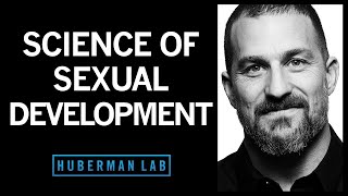 How Hormones Shape Sexual Development