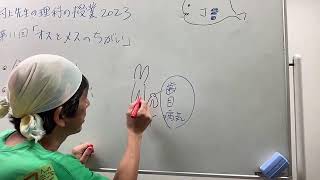 村上先生の理科の授業2023年　第11回「オスとメスの決まり方」