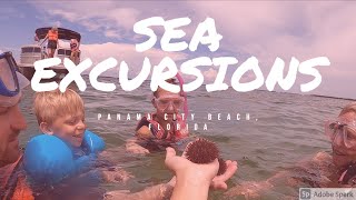Dolphin & Snorkeling Excursion in Panama City Beach Florida