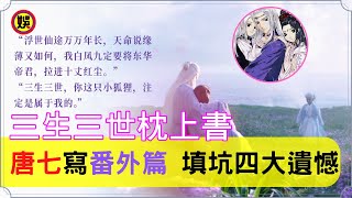 《三生三世枕上書》收官，原著作者唐七公子親寫番外篇，觀眾的四大遺憾，已填坑 | 鳳九東華婚後幸福！連宋成玉的三生三世，白滾滾的番外，答案在另壹本書裏#高偉光#迪麗熱巴#楊冪#趙又廷【娛樂圈圈圈】