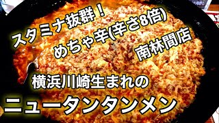 【激辛旨】ニュータンタンメン南林間店