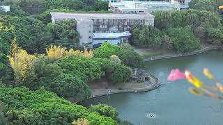 初冬清晨，和煦陽光普照，逺山與竹湖輝映#foryou #nature #travel #plants #公園 #健走 #交大