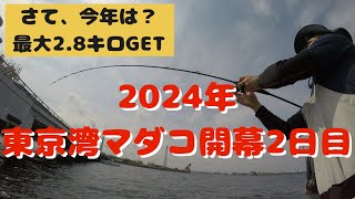 【浦安　吉久　東京湾マダコ】　開幕2日目さて、今年はどうでしょう？？