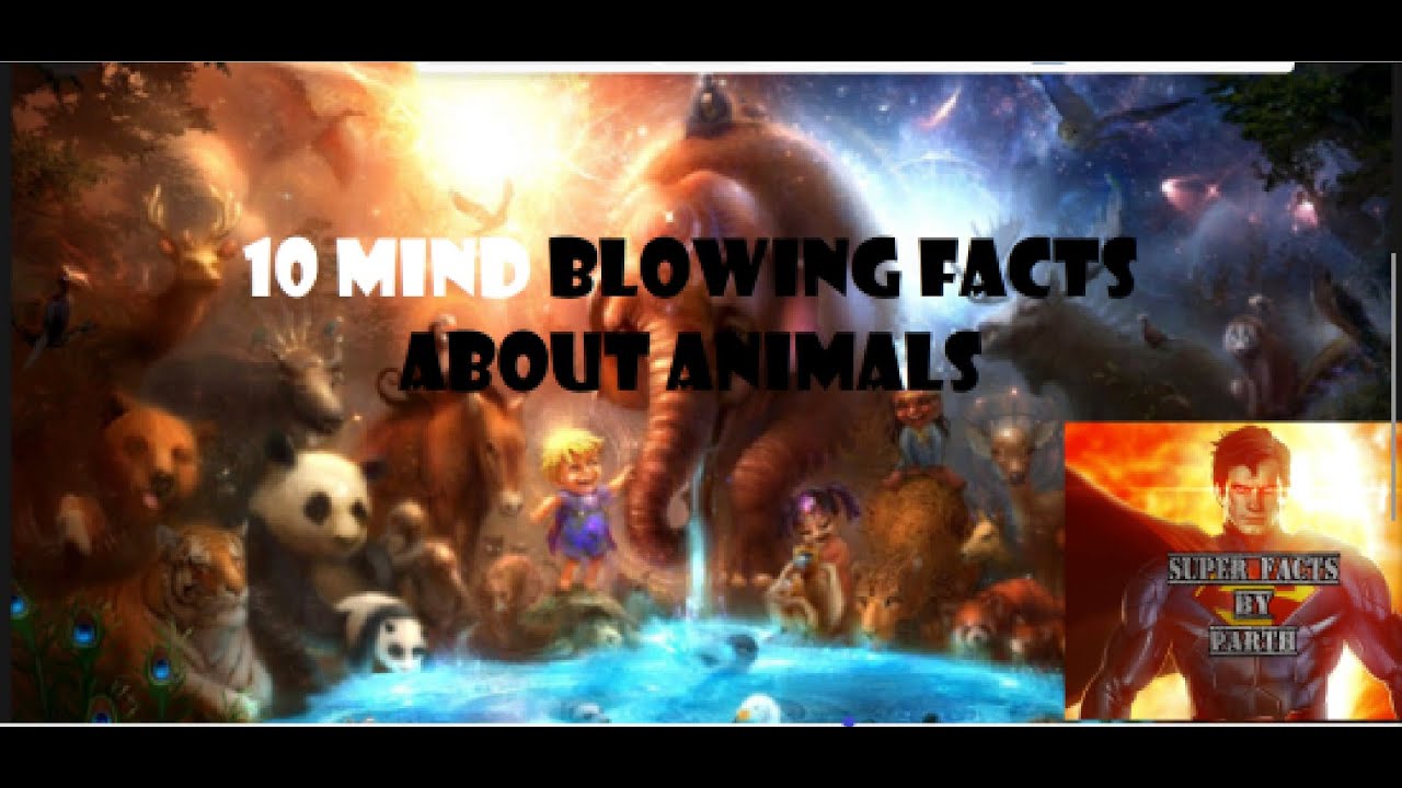 10 MIND- BLOWING FACTS 🔥 About ANIMALS!! 😱 Episode-1 - YouTube