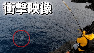 【衝撃】離島の磯釣りで信じられない生物が・・・