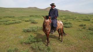 Duke Global Health Master's Students Investigate Zoonotic Diseases in Mongolia