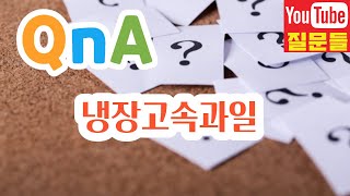 냉장고속과일