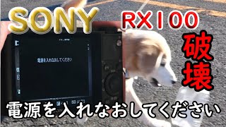 コンパクトデジタルカメラ RX 100この撮影が最後に分解、清掃？結果、破壊、Sonyカメラのエラー【電源を入れ直してください】カメラがお釈迦になった。素人がやってはいけなかった！残念くやし・・・❕