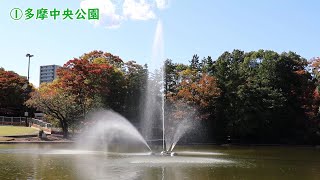 多摩市 全公園図鑑 落合編（多摩センター駅周辺）【多摩ニュータウン】