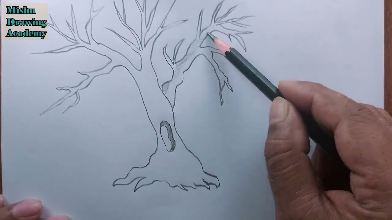 How To Draw Dead Tree Dead Tree Drawing Youtube
