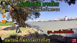 EP.37 ตกปลา นาป้าแช่ม บางไทร “หมายนี้ไม่ธรรมดาจริงๆ” แม่น้ำเจ้าพระยา