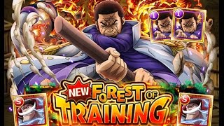 [OPTC] Whitebeard 0 Stamina Training Forest - Double Fujitora