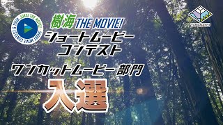 樹海 THE MOVIE! ショートムービーコンテスト【ワンカットムービー部門】入選「樹海に差す陽」