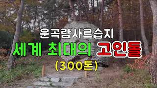 [Tour] 세계 최대의 고인돌(전북 고창군), 운곡람사르습지\