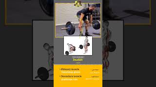 Deadlift - ددلیفت