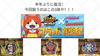 【パズドラ】二カ月ぶりの動画！半年ぶりの妖怪ウォッチコラボガチャでエンマ大王、ぬらりひょん、じんめん犬を狙う！Part106