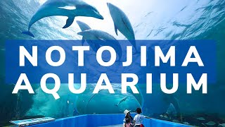 Notojima Aquarium Adventure | Wonders of Japan | Japan Memories