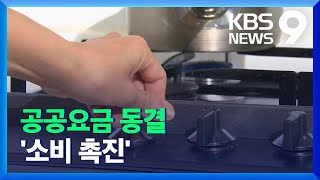 공공요금 동결…내년 성장동력은 ‘내수’ / KBS  2021.12.20.