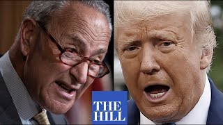 Schumer argues budget resolution will PREVENT future Trumps