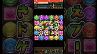 【パズドラ】無料10連ガチャ回したったwww