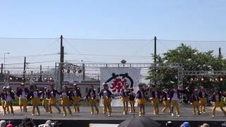 笑゛Jr（犬山踊芸祭2014）二日目・メイン会場