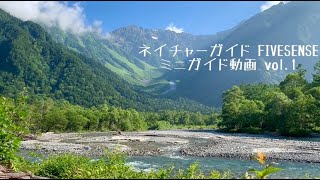 上高地ミニガイドvol.1【小梨平キャンプ場の川沿い】