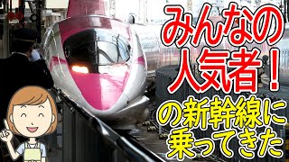 500系ハローキティ新幹線｜新大阪→小倉｜山陽新幹線こだまの旅