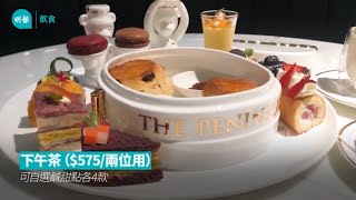 可愛門僮熊送上鹹甜美點 鑽進半島地庫 歎親民下午茶｜《食在香港》