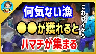 【漁師まさと】何気ない漁。漁に没頭しているとある魚が集まってくることに気づきました。【釣り 瀬戸内 漁師  切り抜き fish fishing fisherman SETOUCHI 船 給料】