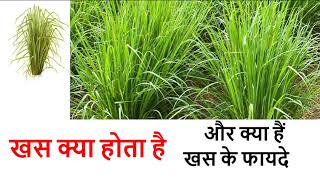 Khas Ke Fayde Hindi Me - Benefits of Vetiver - खसखस के फायदे और नुकसान