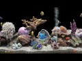 ★ marine aquarium ★ uhd screensaver ★ black ocean ★ 60fps ★