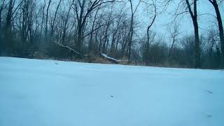 So Cold In Iowa That Trees Explode
