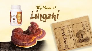 Infinitus Royal Lingzhi Plus