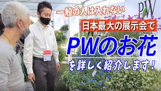 一般の人が入れない日本最大の展示会でPWのお花を詳しく紹介します！