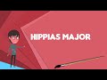 what is hippias major explain hippias major define hippias major meaning of hippias major