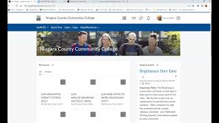 Email Feature in Brightspace
