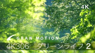 4K Japan green life2 さわやか森林浴4K306グリーンライフ 2  4K動画素材集グランモーション