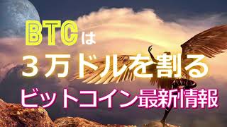 ビットコインは３万ドルを割る！［2021BTC最新情報］