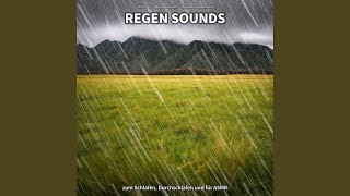 Regen Sounds, Pt. 49