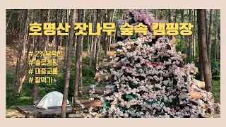 [솔로캠핑] 호잣캠 | 전철타고 | 이것까지 있다고 ? | 꿀팁도