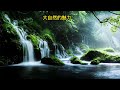 大自然的魅力 .放松 .缓解压力 . the charm of nature . relax . relieve stress .