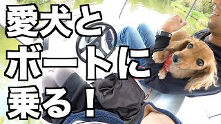 初めてボートに乗った愛犬が可愛過ぎた【2度目の家族旅行③】